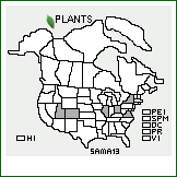 Distribution of Salix matsudana Koidzumi. . 