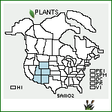 Distribution of Salix monticola Bebb. . 