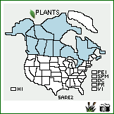 Distribution of Salix reticulata L.. . Image Available. 