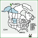 Distribution of Salix rotundifolia Trautv.. . 