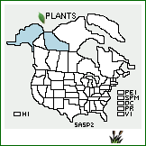 Distribution of Salix sphenophylla Skvort.. . 