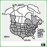 Distribution of Lathyrus latifolius L.. . Image Available. 