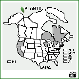 Distribution of Lathyrus sativus L.. . Image Available. 