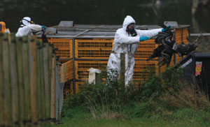 Poultry workers in protective clothing.