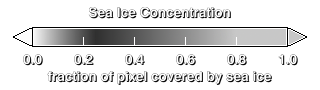 Color bar for the sea ice concentration.