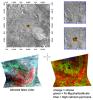 Olivine & Phyllosilicates in Nili Fossae