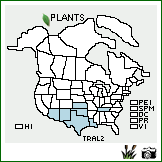 Distribution of Tridens albescens (Vasey) Woot. & Standl.. . Image Available. 