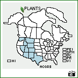 Distribution of Acer grandidentatum Nutt.. . Image Available. 