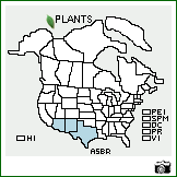 Distribution of Asclepias brachystephana Engelm. ex Torr.. . Image Available. 