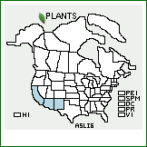 Distribution of Asclepias linaria Cav.. . 