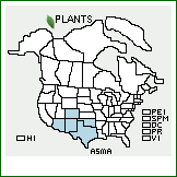 Distribution of Asclepias macrotis Torr.. . 