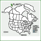 Distribution of Asclepias nivea L.. . 