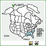 Distribution of Yucca gloriosa L.. . 