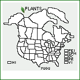 Distribution of Yucca guatemalensis Baker. . 