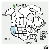 Distribution of Ceanothus cordulatus Kellogg. . Image Available. 