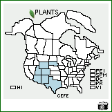 Distribution of Ceanothus fendleri A. Gray. . Image Available. 