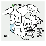 Distribution of Ceanothus pumilus Greene. . 