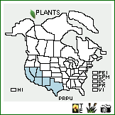 Distribution of Prosopis pubescens Benth.. . Image Available. 