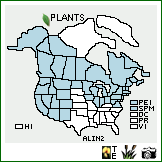 Distribution of Alnus incana (L.) Moench. . Image Available. 