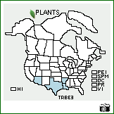 Distribution of Trifolium bejariense Moric.. . Image Available. 