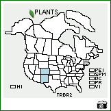 Distribution of Trifolium brandegeei S. Watson. . Image Available. 