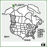 Distribution of Trifolium subterraneum L.. . Image Available. 