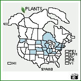 Distribution of Symphyotrichum ×amethystinum (Nutt.) G.L. Nesom [ericoides × novae-angliae]. . Image Available. 