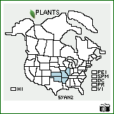 Distribution of Symphyotrichum anomalum (Engelm.) G.L. Nesom. . Image Available. 