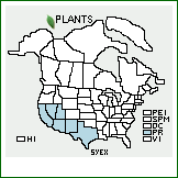 Distribution of Symphyotrichum expansum (Poepp. ex Spreng.) G.L. Nesom. . 