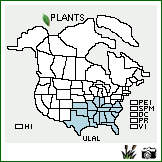 Distribution of Ulmus alata Michx.. . Image Available. 