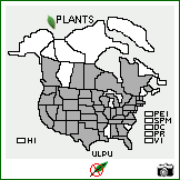 Distribution of Ulmus pumila L.. . Image Available. 