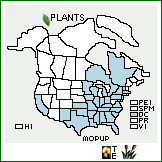 Distribution of Monarda punctata L. ssp. punctata. . 