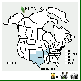 Distribution of Monarda punctata L. ssp. punctata var. occidentalis (Epling) Palmer & Steyerm.. . Image Available. 