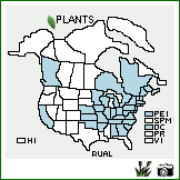 Distribution of Rubus allegheniensis Porter. . Image Available. 