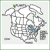 Distribution of Rubus michiganensis (Card ex L.H. Bailey) L.H. Bailey. . 