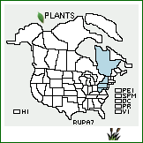 Distribution of Rubus paganus L.H. Bailey. . 