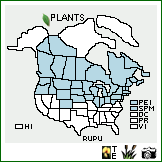 Distribution of Rubus pubescens Raf.. . Image Available. 
