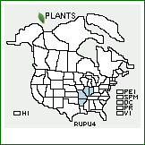 Distribution of Rubus pubifolius L.H. Bailey. . 