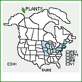 Distribution of Rubus recurvans Blanch.. . 