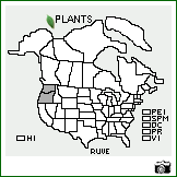 Distribution of Rubus vestitus Weihe. . Image Available. 