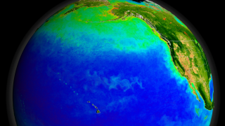 Animation depicting nearly a decades worth of SeaWiFS ocean chlorophyll concentration and land Normalized Difference Vegetation Index (NDVI) data. This animation begins by slowly spinning the earth around until settling over the North Pacific.