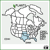 Distribution of Iva angustifolia Nutt. ex DC.. . Image Available. 