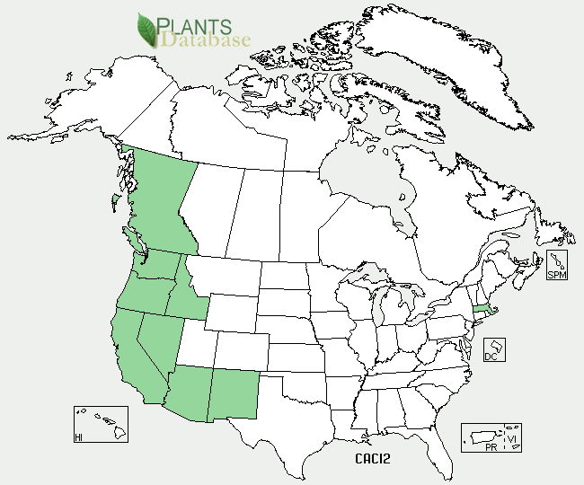 Distributional Map for Calandrinia ciliata (Ruiz & Pav.) DC.