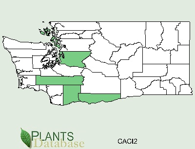 Washington County Distributional Map for Calandrinia ciliata
