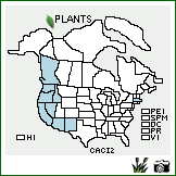 Distribution of Calandrinia ciliata (Ruiz & Pav.) DC.. . Image Available. 