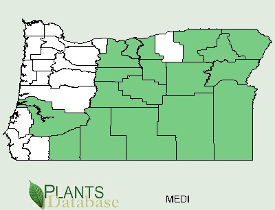 Oregon County Distributional Map for Mentzelia dispersa