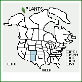 Distribution of Mentzelia laciniata (Rydb.) J. Darl.. . 