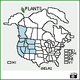 Distribution of Mentzelia laevicaulis (Hook.) Torr. & A. Gray. . Image Available. 