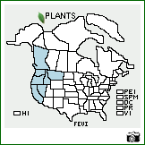 Distribution of Festuca viridula Vasey. . Image Available. 