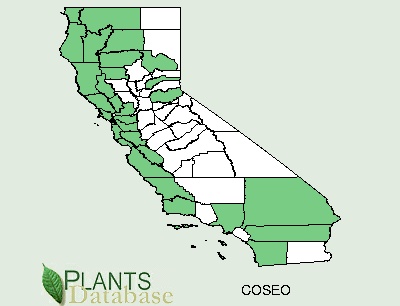 California County Distributional Map for Cornus sericea ssp. occidentalis